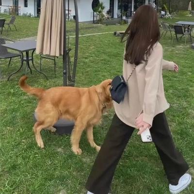 推荐4